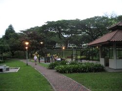 Blk 50 Chai Chee Gardens (Bedok), HDB 3 Rooms #638124581